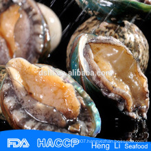 Fresh frozen green abalone